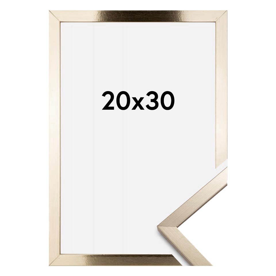 قاب عکس بژ 30×20