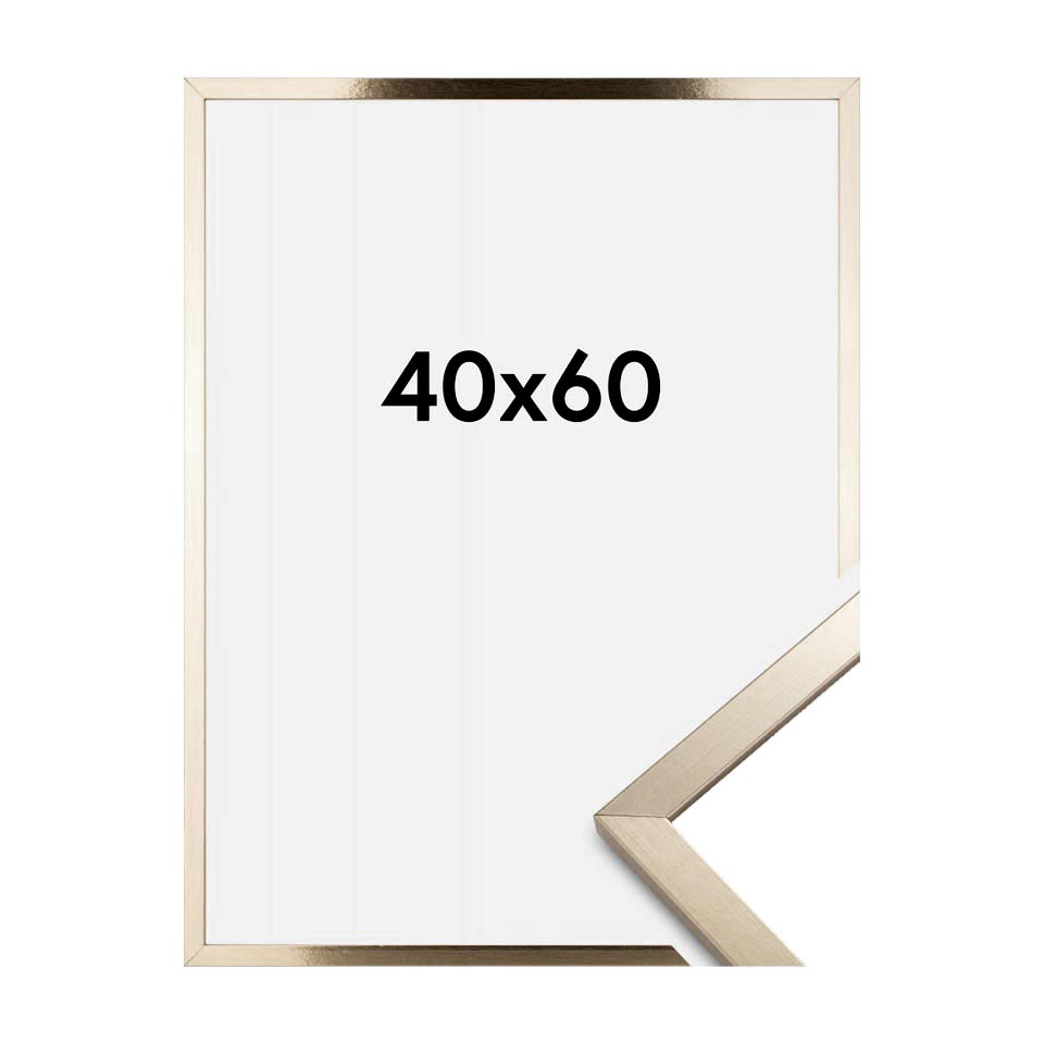 قاب عکس بژ 60×40