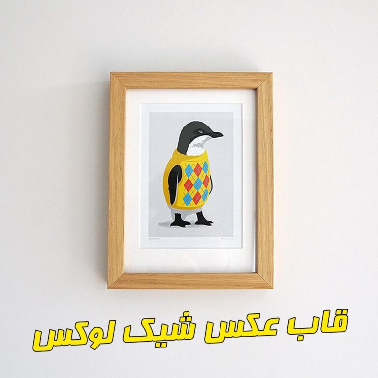 قاب برای عکس